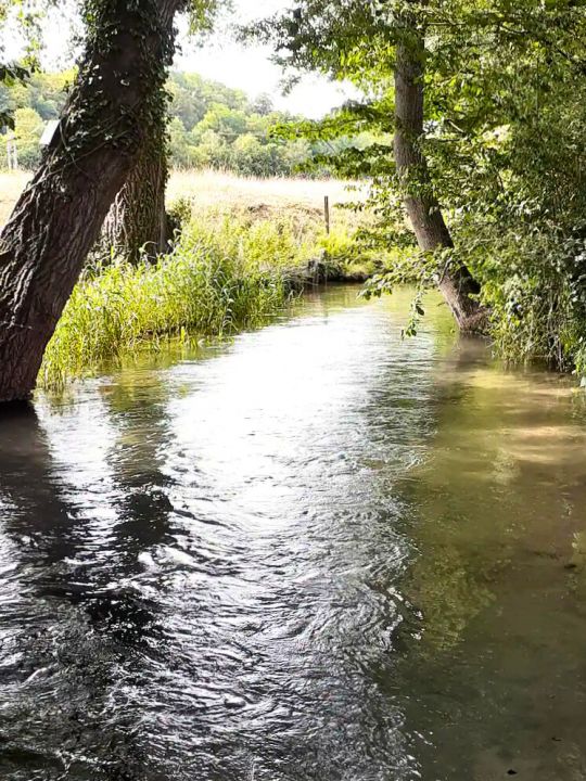 La rivière la Celle — la rivière la Celle traverse la propriété et alimente la chute d'eau, toujours accompagnée de son ancien vannage. La rivière la Celle — la rivière la Celle traverse la propriété et alimente la chute d'eau, toujours accompagnée de son ancien vannage.