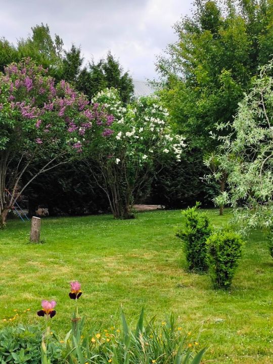Le Jardin du Moulin — L'espace extérieur<br />Un jardin ouvert et agréable pour profiter du plein air, prendre un café, laisser les enfants jouer ou simplement s'installer au calme entre deux moments partagés. Le Jardin du Moulin — L'espace extérieur<br />Un jardin ouvert et agréable pour profiter du plein air, prendre un café, laisser les enfants jouer ou simplement s'installer au calme entre deux moments partagés.